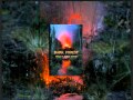 DARK FOREST, edited by Robert Dunbar